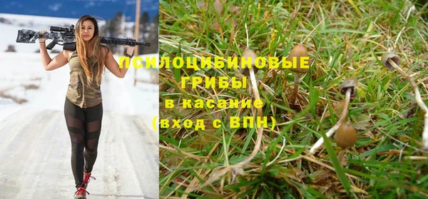 ешки Алексеевка