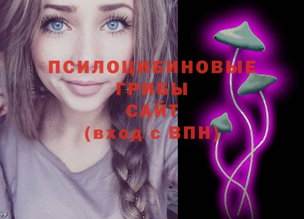 герыч Алзамай